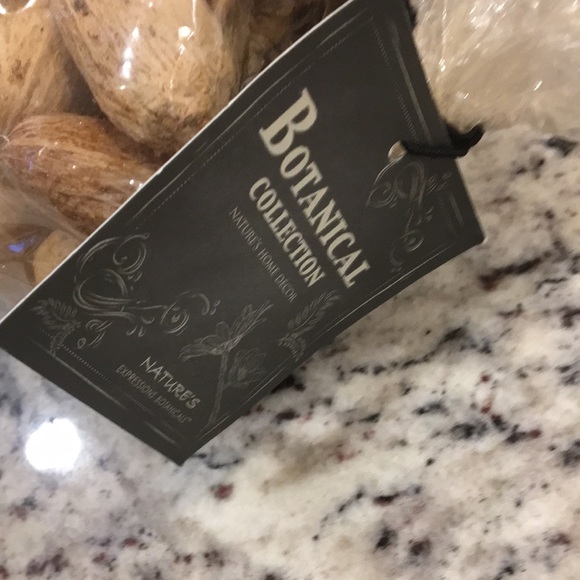 NWT botanical collection natures home decor - Picture 3 of 6